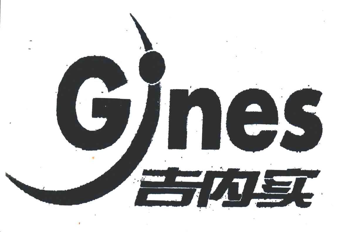 吉内实;GNES