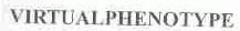 VIRTUALPHENOTYPE
