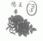 鸡王