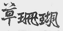 草珊瑚