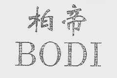 柏帝
