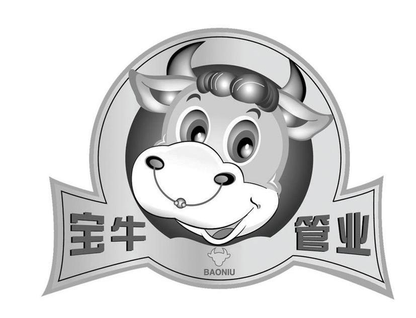 宝牛管业 BAONIU