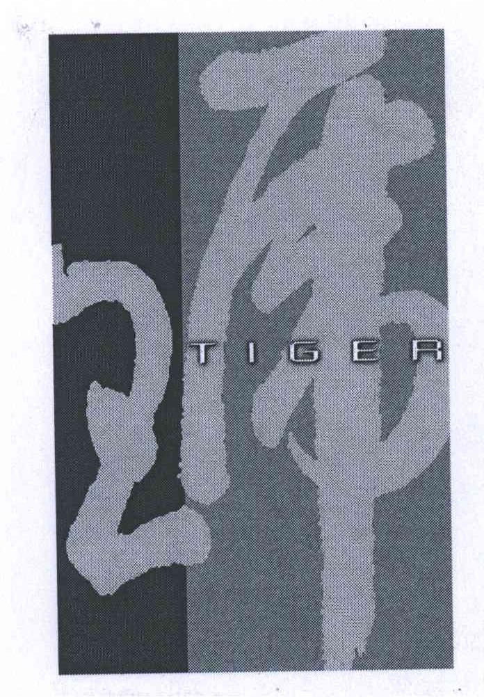 TIGER;虎王