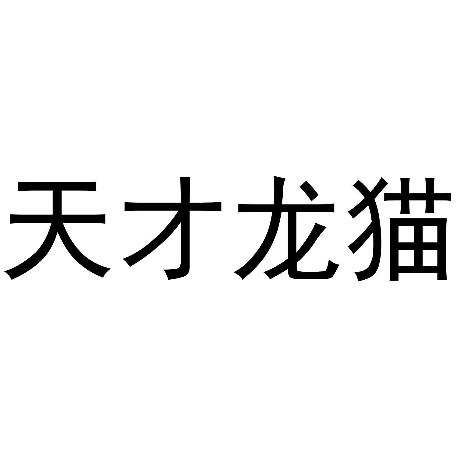 天才龙猫