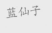 蓝仙子