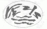 金水