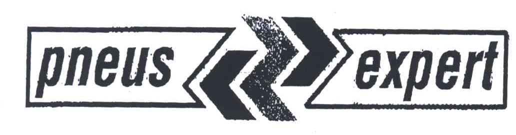 PNEUS EXPERT