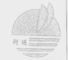 阿进