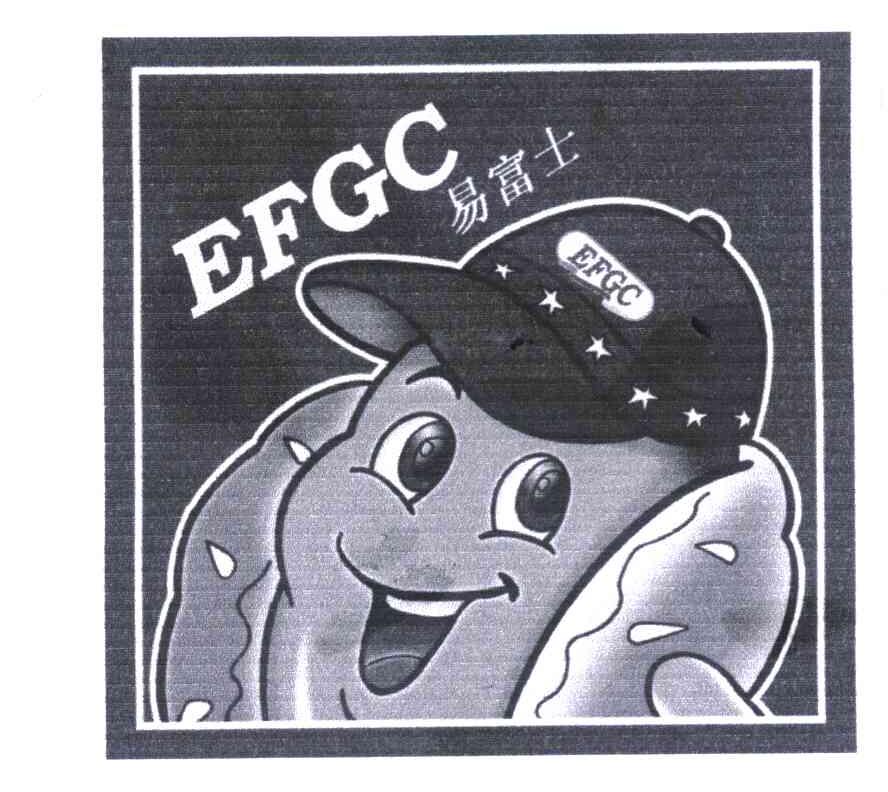 易富士 EFGC