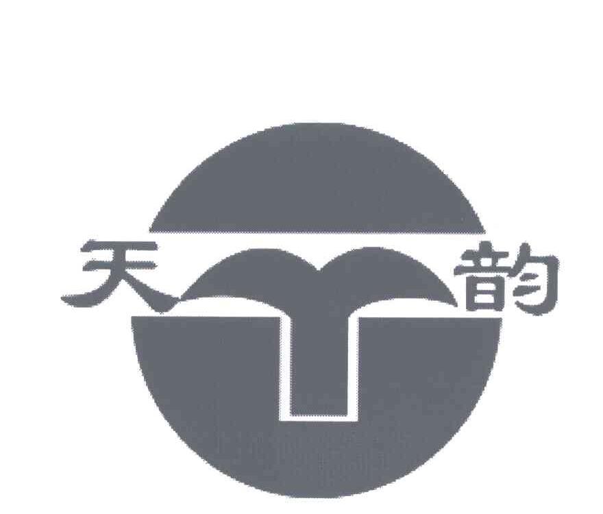 天韵