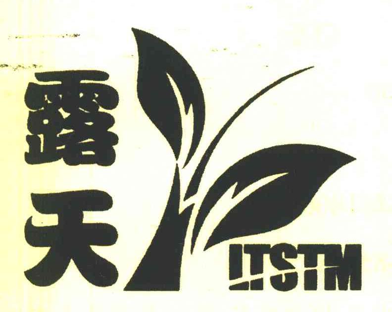 露天 LTSTM