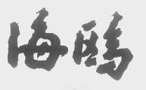 海鸥