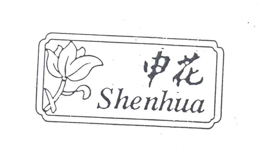 申花