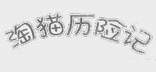 淘猫历险记