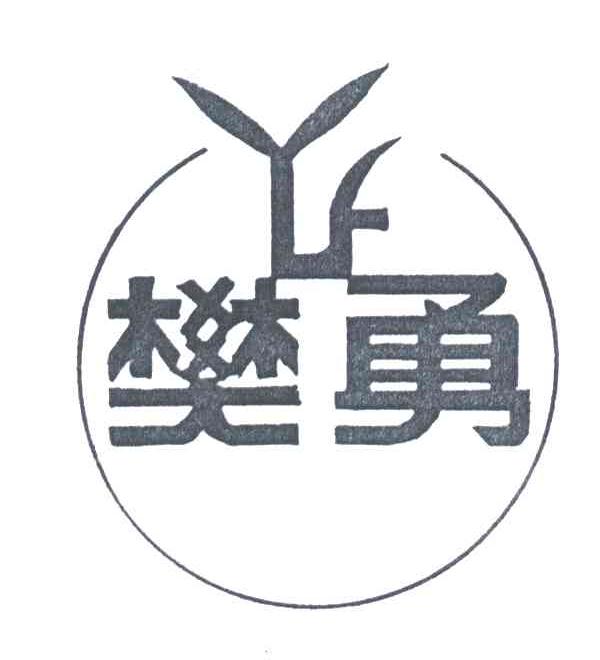 樊勇