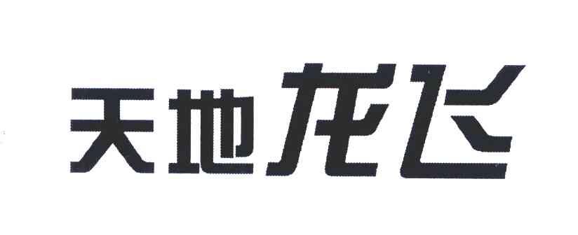 天地龙飞