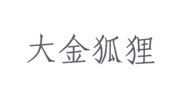 大金狐狸