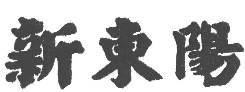新东阳