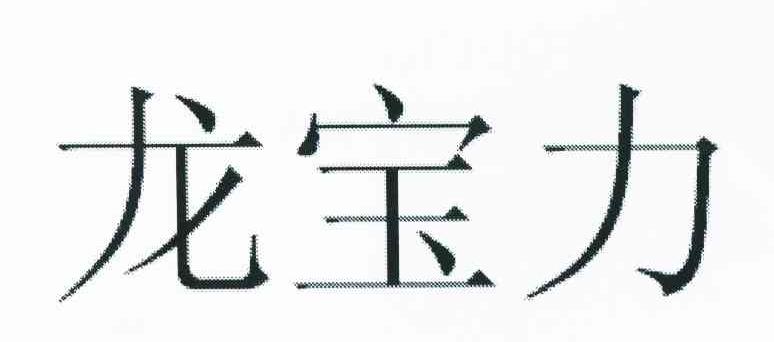 龙宝力