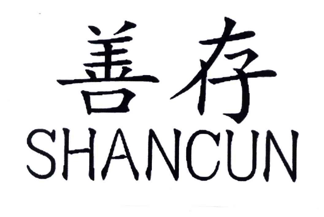善存