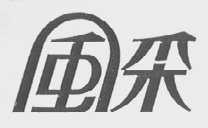 风采