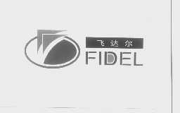飞达尔   FIDEL