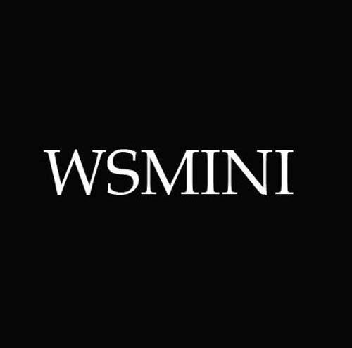 WSMINI