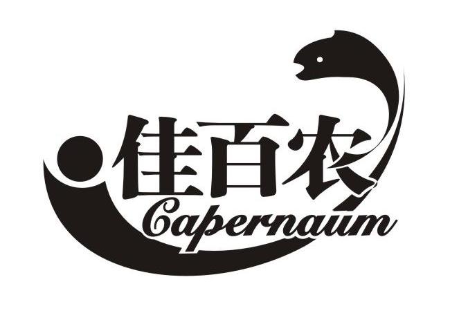 佳百农 CAPERNAUM