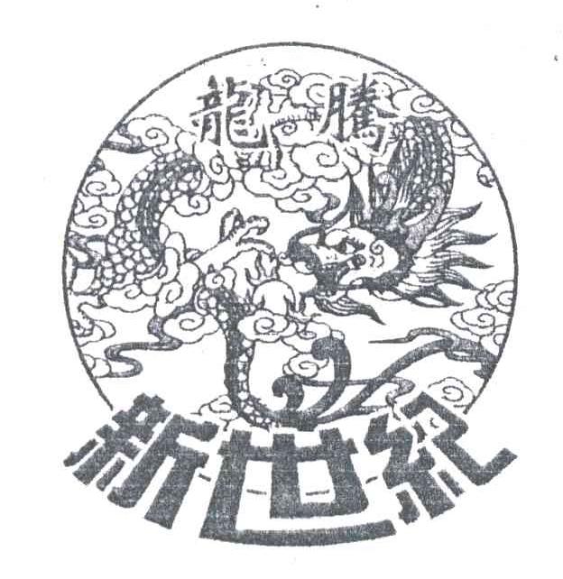 龙腾新世纪
