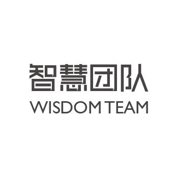 智慧团队 WISDOMTEAM