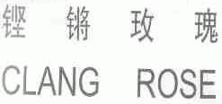 铿锵玫瑰;CLANG ROSE