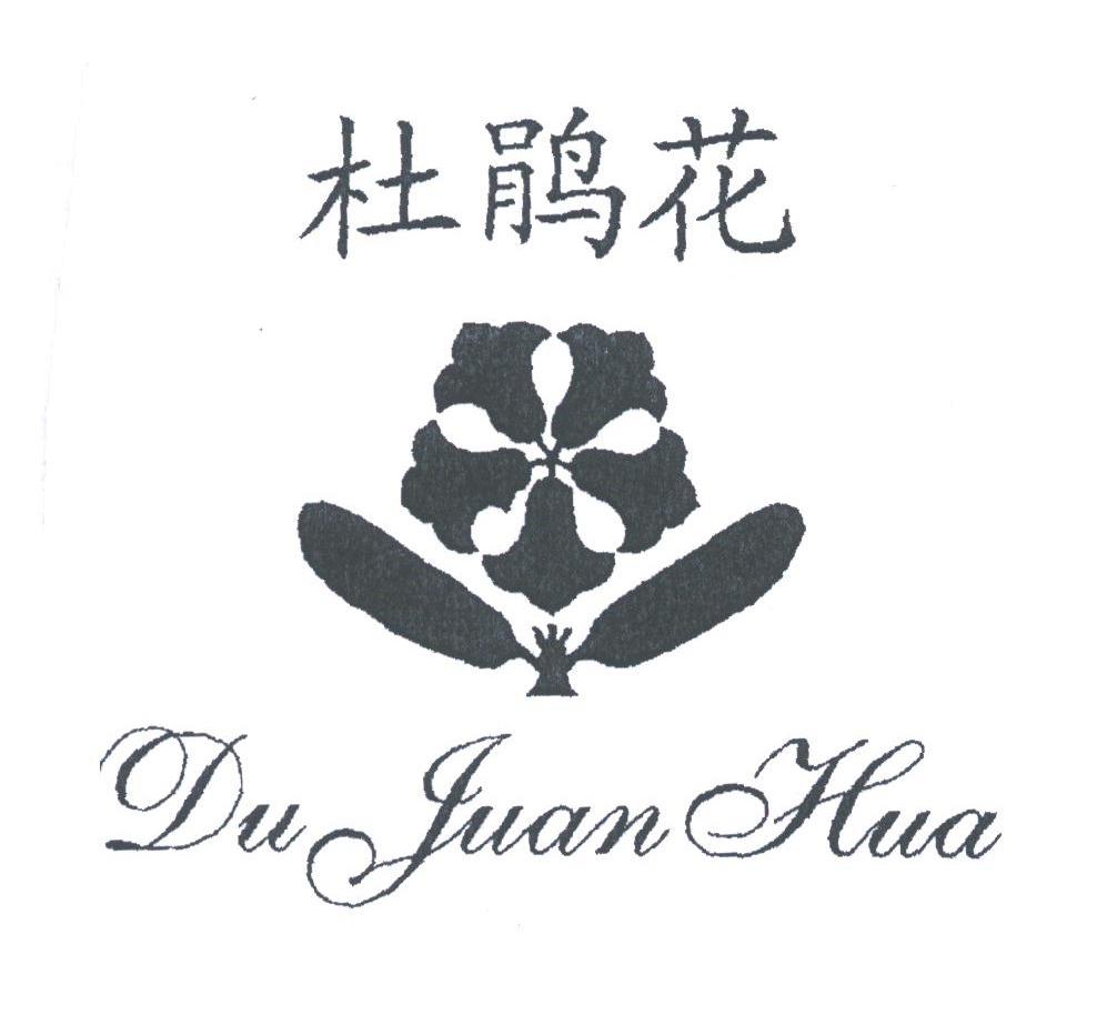 杜鹃花
