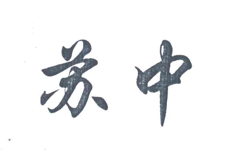 苏中