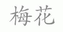 梅花
