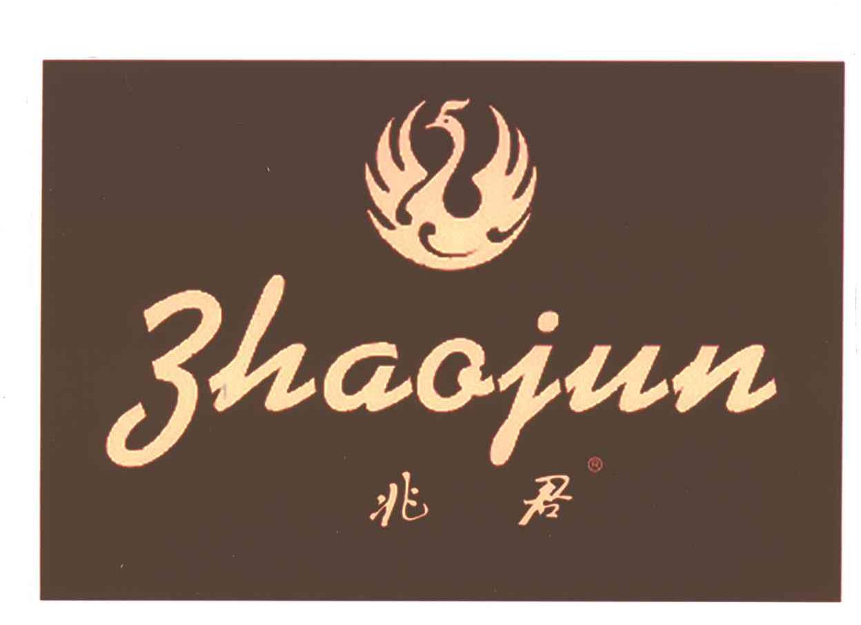 兆君