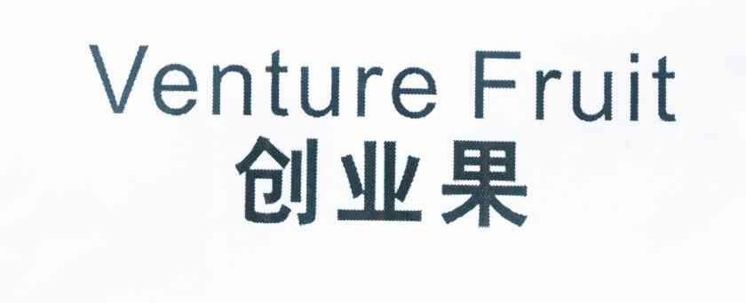 创业果 VENTURE FRUIT