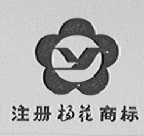 杨花