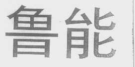 鲁能