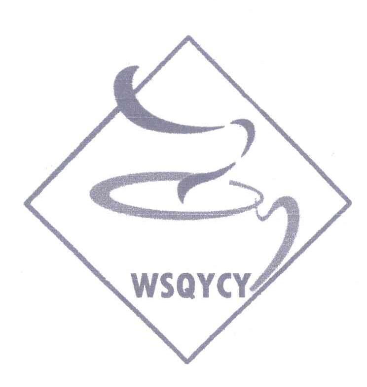 WSQYCY