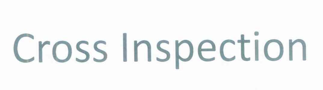 CROSS INSPECTION