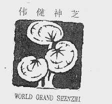 伟健神芝   WORLD GRAND SHENZHI