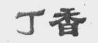 丁香