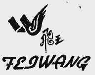 飞王