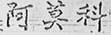 阿莫科