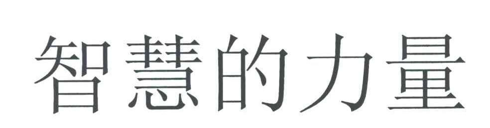 智慧的力量