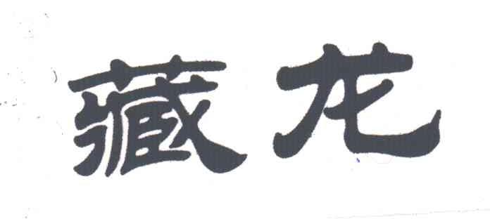 藏龙