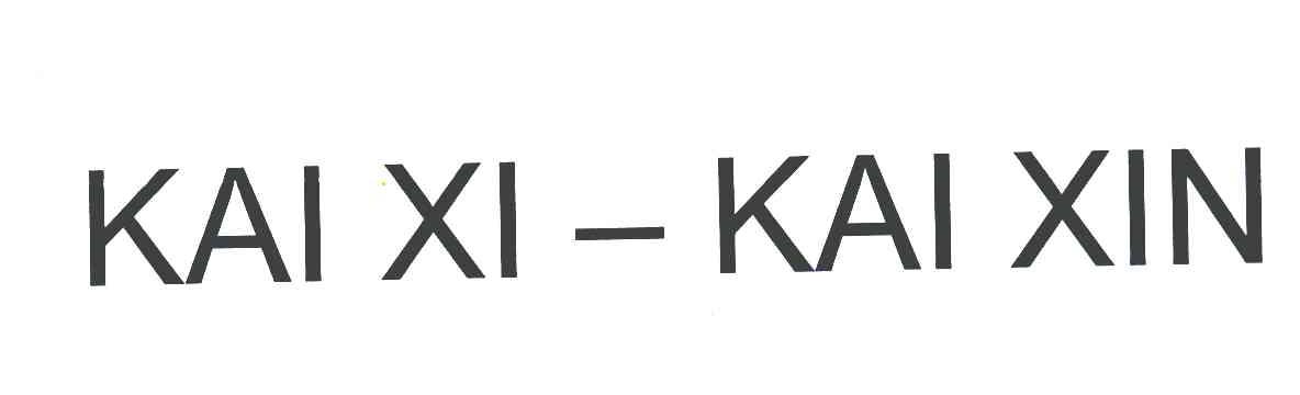 KAIXI KAIXIN