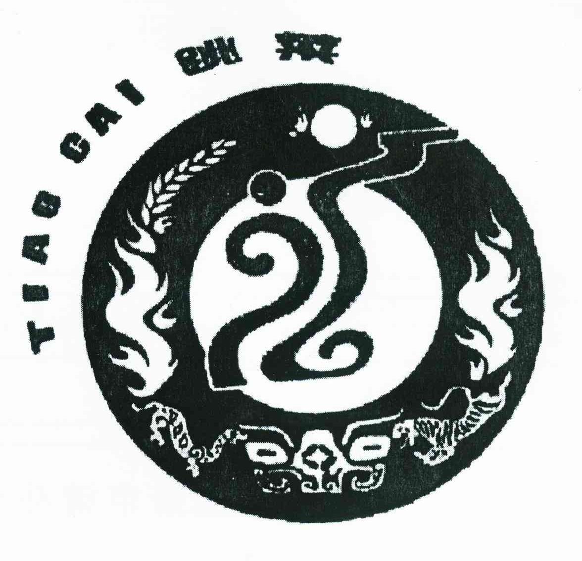 跳菜