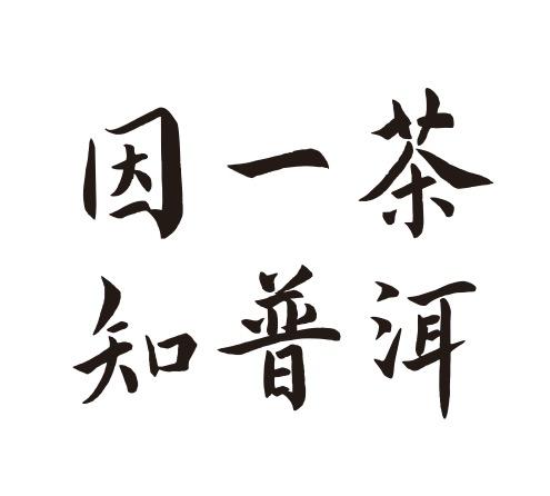 因一茶知普洱