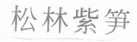 松林紫笋